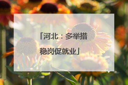 河北：多举措稳岗促就业