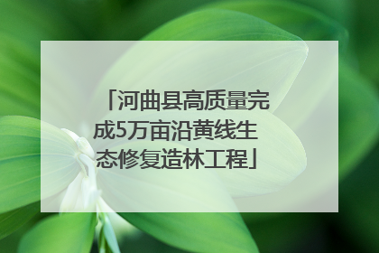 河曲县高质量完成5万亩沿黄线生态修复造林工程