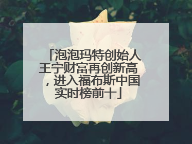 泡泡玛特创始人王宁财富再创新高，进入福布斯中国实时榜前十
