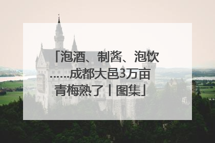泡酒、制酱、泡饮……成都大邑3万亩青梅熟了丨图集