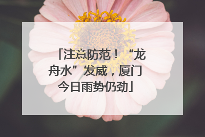 注意防范！“龙舟水”发威，厦门今日雨势仍劲