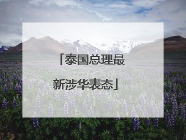 泰国总理最新涉华表态