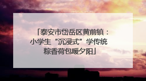 泰安市岱岳区黄前镇：小学生“沉浸式”学传统 粽香荷包暖夕阳