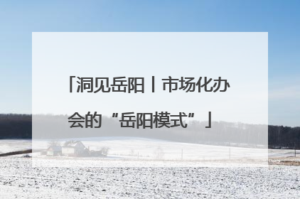 洞见岳阳丨市场化办会的“岳阳模式”