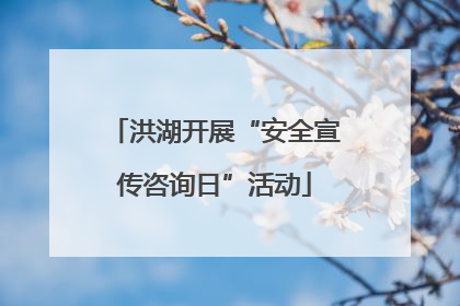洪湖开展“安全宣传咨询日”活动