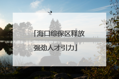 海口综保区释放强劲人才引力