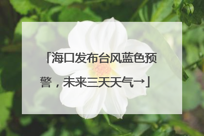 海口发布台风蓝色预警，未来三天天气→