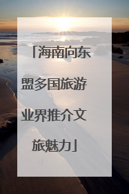 海南向东盟多国旅游业界推介文旅魅力