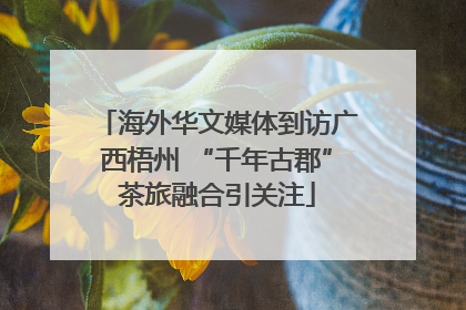 海外华文媒体到访广西梧州 “千年古郡”茶旅融合引关注
