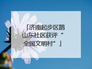 济南起步区鹊山东社区获评“全国文明村”