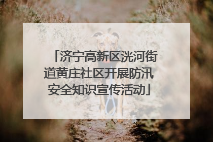 济宁高新区洸河街道黄庄社区开展防汛安全知识宣传活动