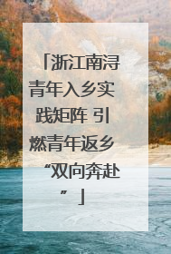 浙江南浔青年入乡实践矩阵 引燃青年返乡“双向奔赴”