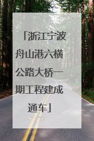 浙江宁波舟山港六横公路大桥一期工程建成通车