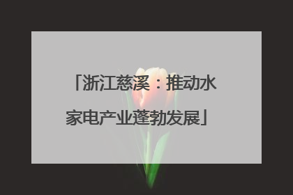 浙江慈溪：推动水家电产业蓬勃发展