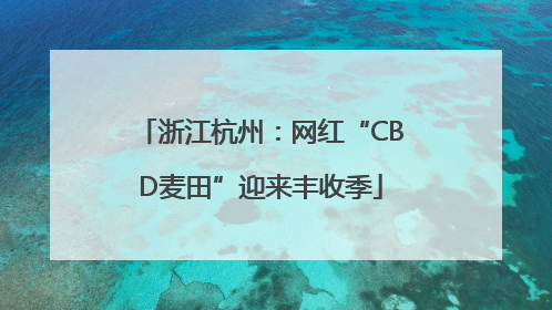 浙江杭州：网红“CBD麦田”迎来丰收季