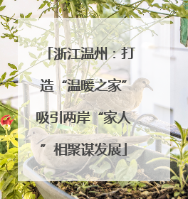浙江温州：打造“温暖之家”吸引两岸“家人”相聚谋发展