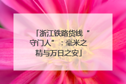 浙江铁路货线“守门人”：毫米之精与万日之安