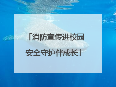 消防宣传进校园 安全守护伴成长