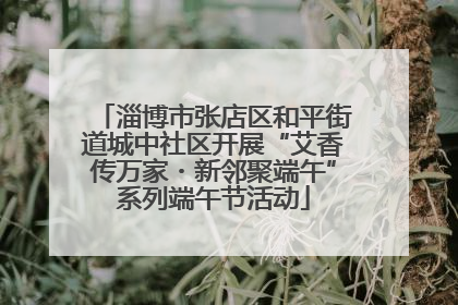 淄博市张店区和平街道城中社区开展“艾香传万家・新邻聚端午”系列端午节活动