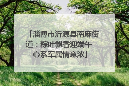 淄博市沂源县南麻街道：粽叶飘香迎端午 心系军属情意浓