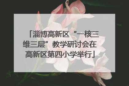 淄博高新区“一核三维三层”教学研讨会在高新区第四小学举行