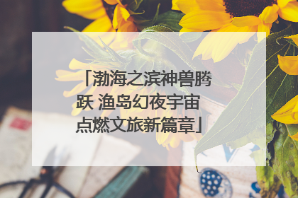 渤海之滨神兽腾跃 渔岛幻夜宇宙点燃文旅新篇章