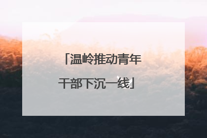 温岭推动青年干部下沉一线