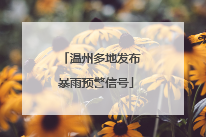 温州多地发布暴雨预警信号