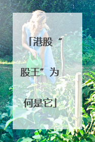 港股“股王”为何是它