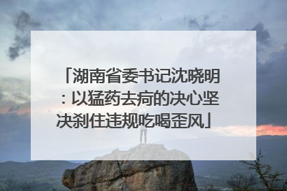 湖南省委书记沈晓明：以猛药去疴的决心坚决刹住违规吃喝歪风