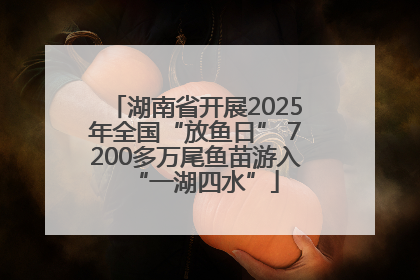 湖南省开展2025年全国“放鱼日” 7200多万尾鱼苗游入“一湖四水”