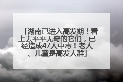 湖南已进入高发期！看上去平平无奇的它们，已经造成47人中毒！老人、儿童是高发人群
