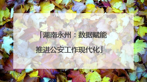 湖南永州：数据赋能推进公安工作现代化