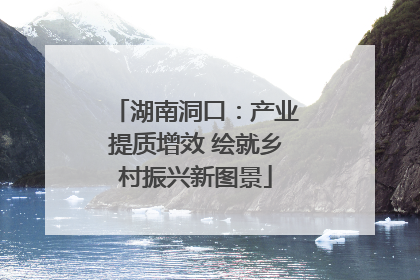湖南洞口：产业提质增效 绘就乡村振兴新图景