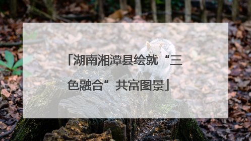 湖南湘潭县绘就“三色融合”共富图景