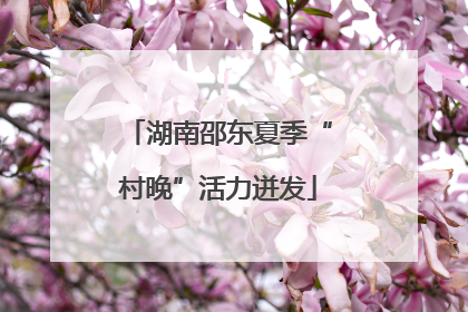 湖南邵东夏季“村晚”活力迸发
