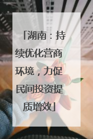湖南：持续优化营商环境，力促民间投资提质增效