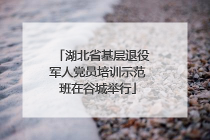 湖北省基层退役军人党员培训示范班在谷城举行