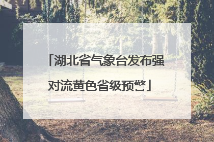 湖北省气象台发布强对流黄色省级预警