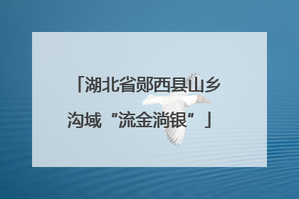 湖北省郧西县山乡沟域“流金淌银”