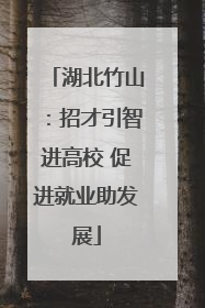 湖北竹山：招才引智进高校 促进就业助发展