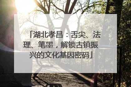 湖北孝昌：舌尖、法理、笔墨，解锁古镇振兴的文化基因密码