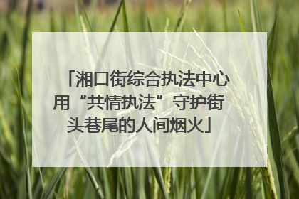 湘口街综合执法中心用“共情执法”守护街头巷尾的人间烟火