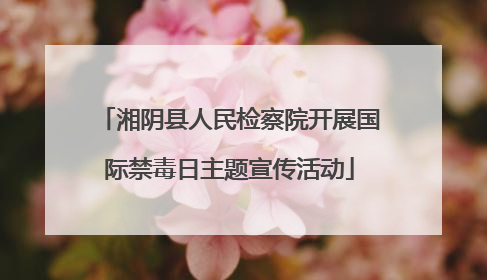 湘阴县人民检察院开展国际禁毒日主题宣传活动