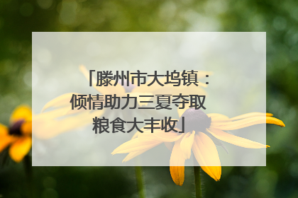 滕州市大坞镇：倾情助力三夏夺取粮食大丰收