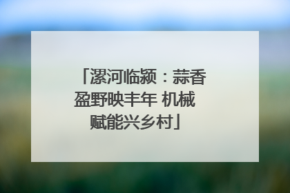 漯河临颍：蒜香盈野映丰年 机械赋能兴乡村