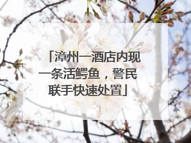 漳州一酒店内现一条活鳄鱼，警民联手快速处置