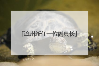 漳州新任一位副县长