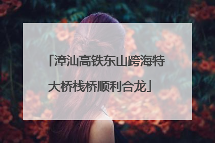 漳汕高铁东山跨海特大桥栈桥顺利合龙