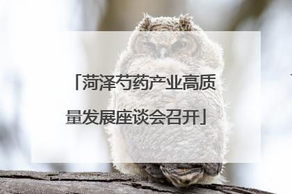 菏泽芍药产业高质量发展座谈会召开